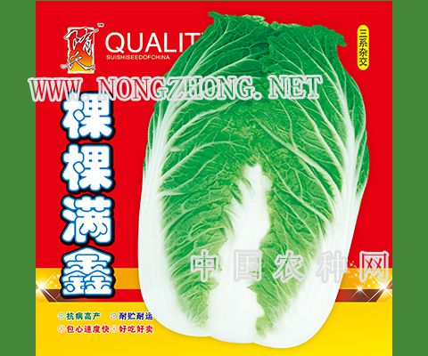 棵棵满鑫